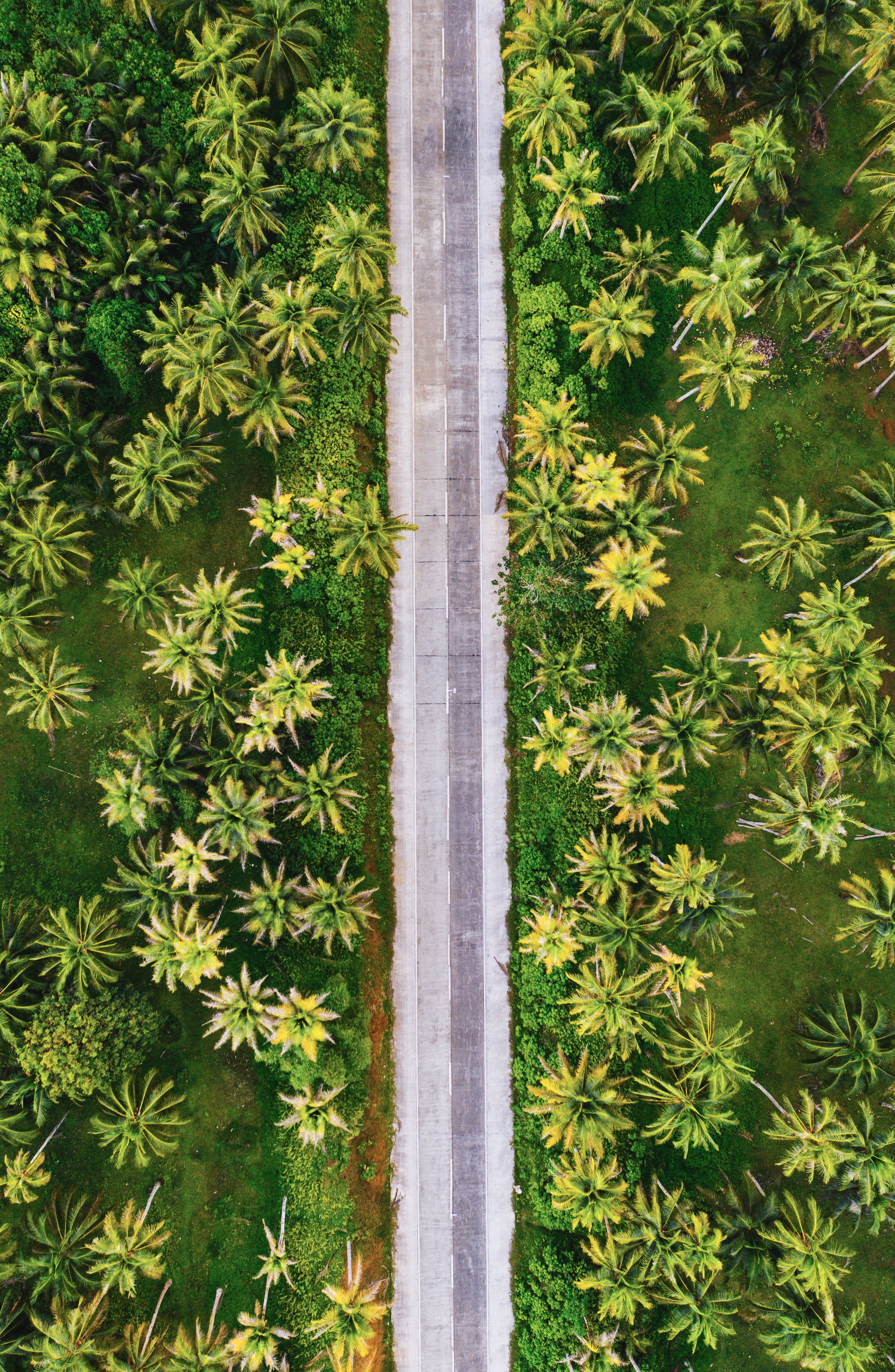 Road